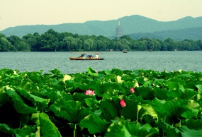 杭州西湖-花港观鱼-锦绣风水洞一日游