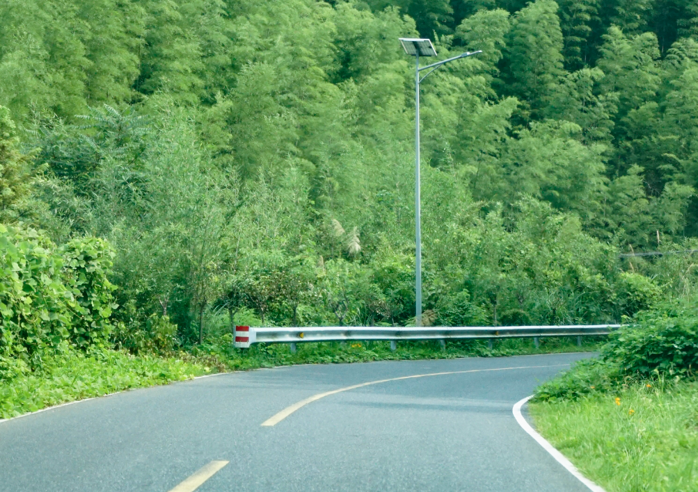 达蓬山暖冬温泉-仙佛谷景区-浙东大竹海-阳明古镇-四明湖·秋赏红杉林-应梦里-溪口老街赏秋五星纯玩三日游