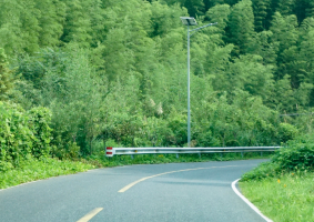 达蓬山暖冬温泉-仙佛谷景区-浙东大竹海-阳明古镇-四明湖·秋赏红杉林-应梦里-溪口老街赏秋五星纯玩三日游